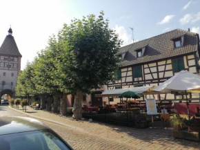 Gites Aux Fines Bulles d'Alsace